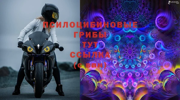 мяу мяу мука Карталы