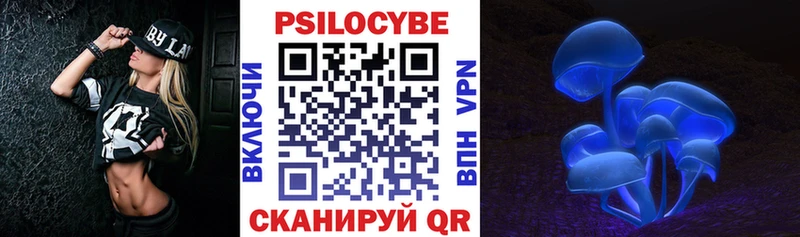 Купить закладки  Курчалой  Галлюциногенные грибы GOLDEN TEACHER 